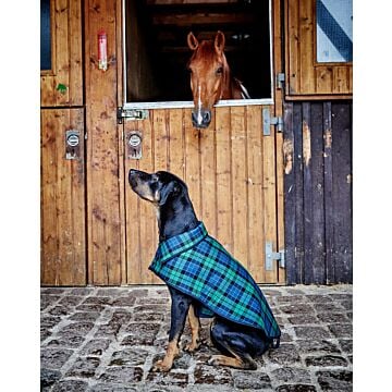 Pèlerine pour chien n°133 de Burda Style Décembre 2017