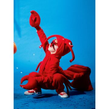 Costume de homard n°141