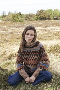 Pullover en jacquard Fair Isle
 #01 | Burda Mailles n°18 - 2022