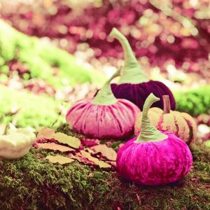 Citrouilles velours de Burda Style Octobre 2015