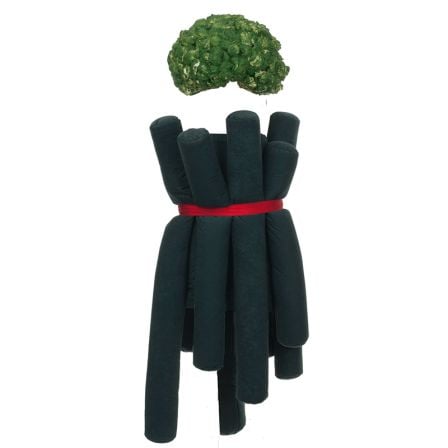 Costume brocoli pour femme n°137