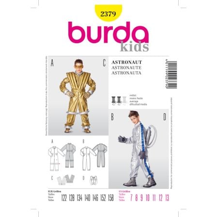 Astronaute n°2379