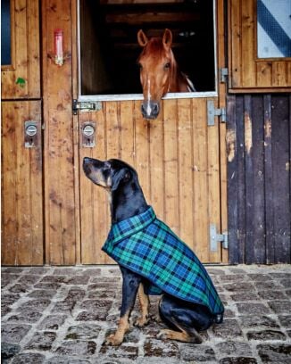 Pèlerine pour chien n°133 de Burda Style Décembre 2017