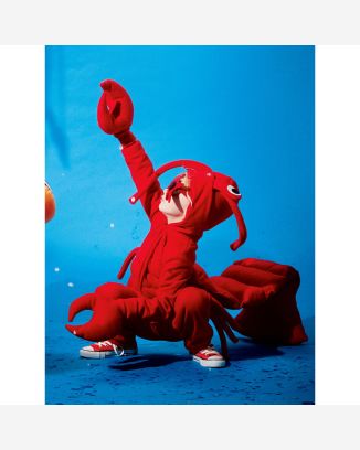 Costume de homard n°141